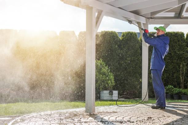 Best Spring Cleaning  in Avis, PA